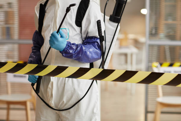 Professional Blood Cleanup technician working in Rosedale, CA